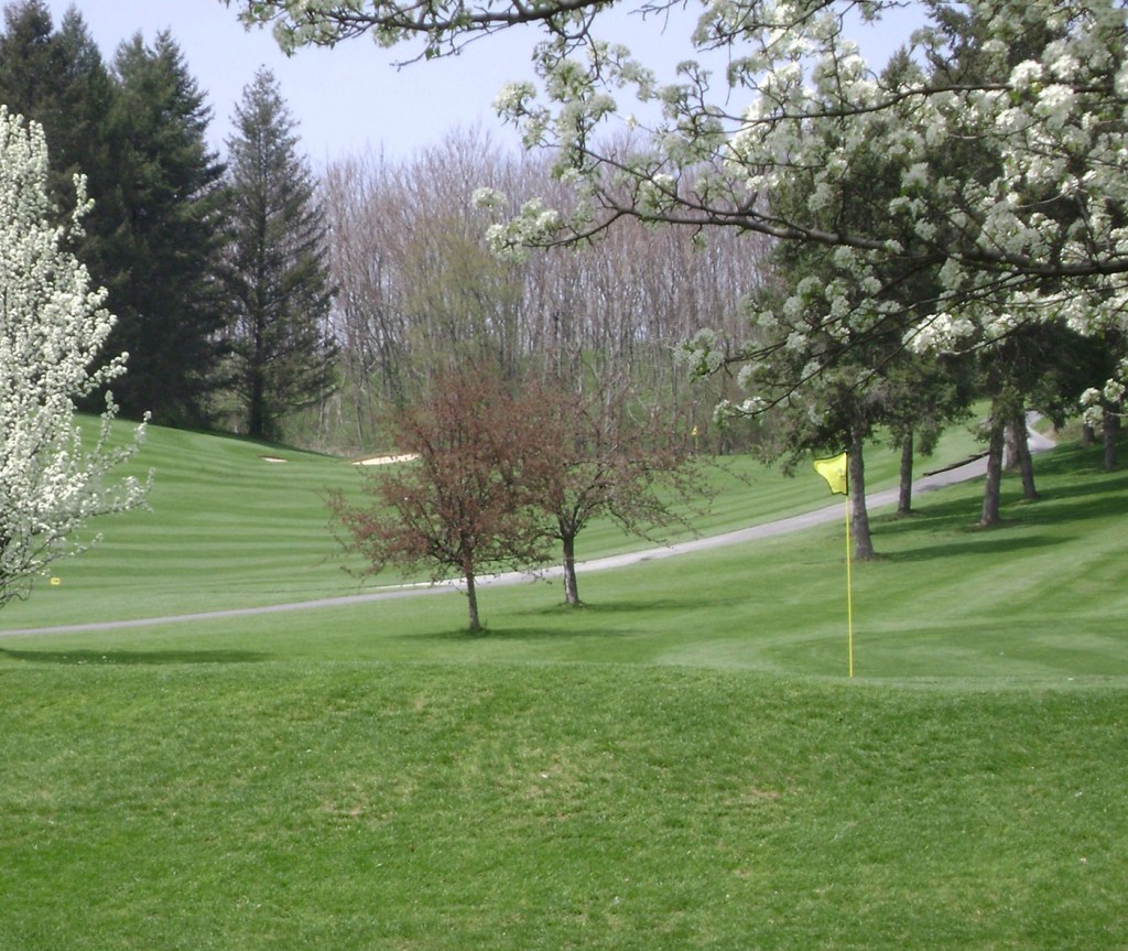 view of golf course green